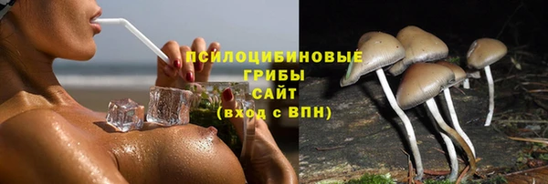 спиды Белоозёрский
