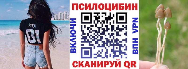 кракен   Буйнакск  Псилоцибиновые грибы GOLDEN TEACHER  что такое наркотик 